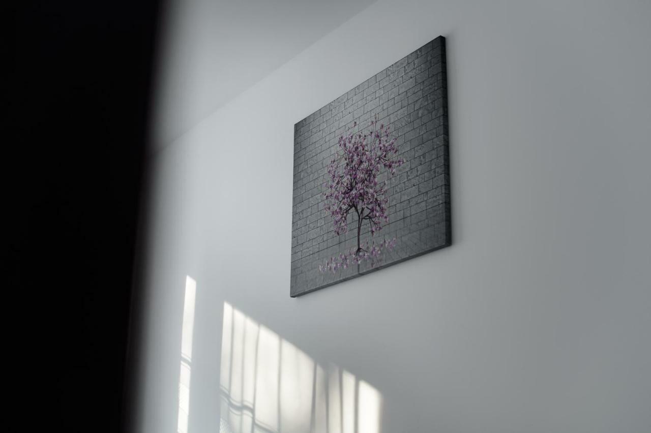 קילצה Apartament Przytulny מראה חיצוני תמונה