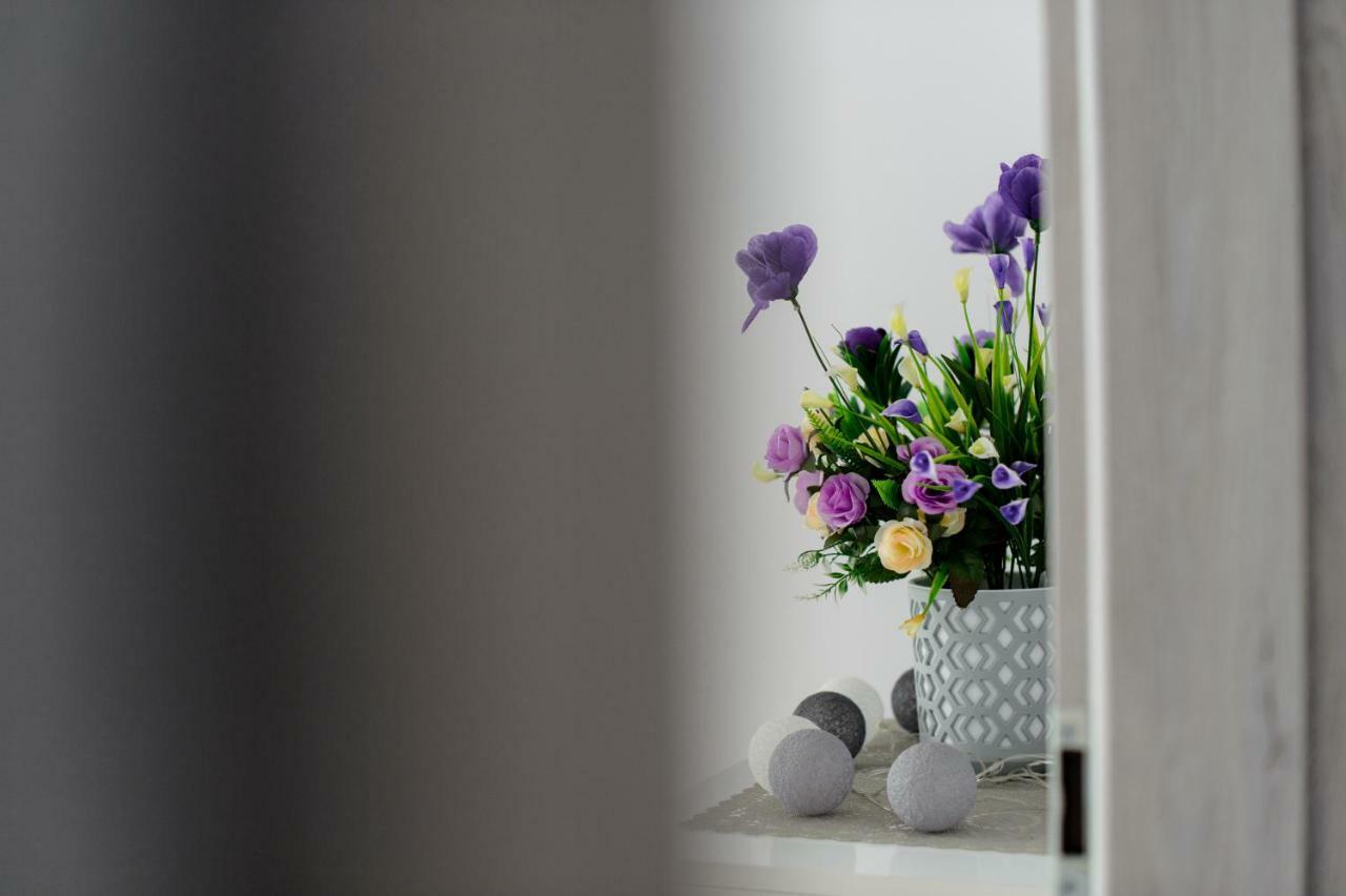 קילצה Apartament Przytulny מראה חיצוני תמונה